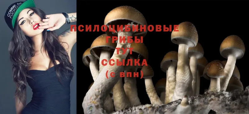 Галлюциногенные грибы MAGIC MUSHROOMS  Белоусово 